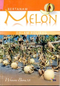 Image of Bertanam Melon Dalam Polibag