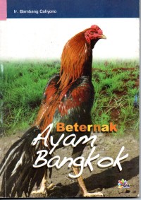 Image of Beternak ayam bangkok